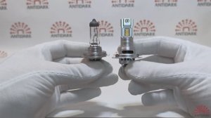 LED лампы H7 с теплым светом 4300K