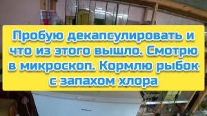 Пробую декапсулировать яйца и что из этого вышло. Смотрю в микроскоп. Кормлю рыбок с запахом хлора