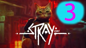 Stray  №3