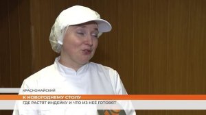 К новогоднему столу: где растят индейку и что из неё готовят