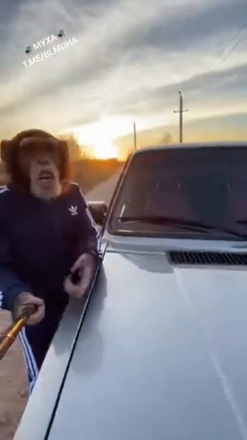 примат и тачка 2107 смотреть онлайн