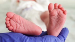 В Новгородской области за первенца будут платить 1 млн рублей