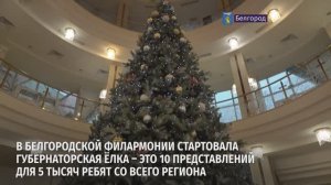 В белгородской филармонии стартовала губернаторская ёлка