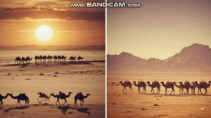 О пахате и святых караванахх