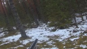 Охота на зайца 20.12.2025.