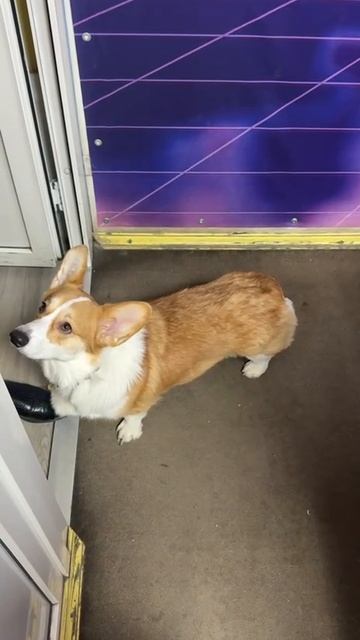 Челябинская радиостанция "L" радио. Электронная музыка 24 часа Телефон 8 800 201 55 45 смотреть онлайн