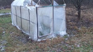 Огород Зимой. Обзор Огорода на 21.12.2025. Рутуб Танкист555.