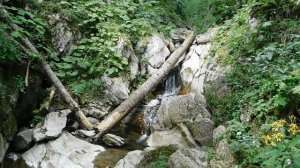 ВИДЕО  ПВН  ББ   (1632)