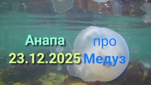 Анапа 23.12.2025 про МЕДУЗ