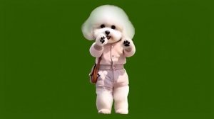 Собака 2_encoded