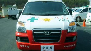 В Южной Корее при падении с крыши на ферме погиб гражданин России