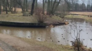 поездка в СПб в дек 25 г день первый Павловск на ласточке