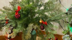 ВСЕГО ПО ЧУТЬ-ЧУТЬ 💥/ БУДНИ 🤗