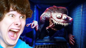 здесь кто-то есть... (windy31)