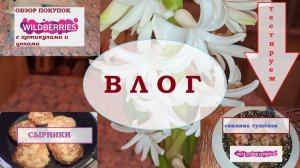 ВЛОГ.OZON и WILDBERRIES.Сырники.ТЕСТИРУЕМ тушёнку.