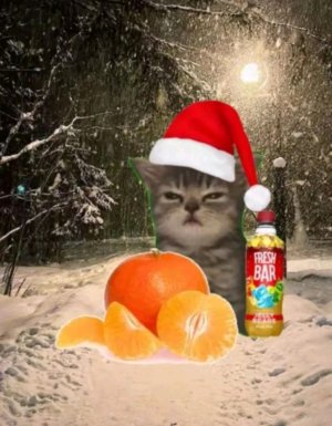 +Вайб
Эфир с Новым Годом