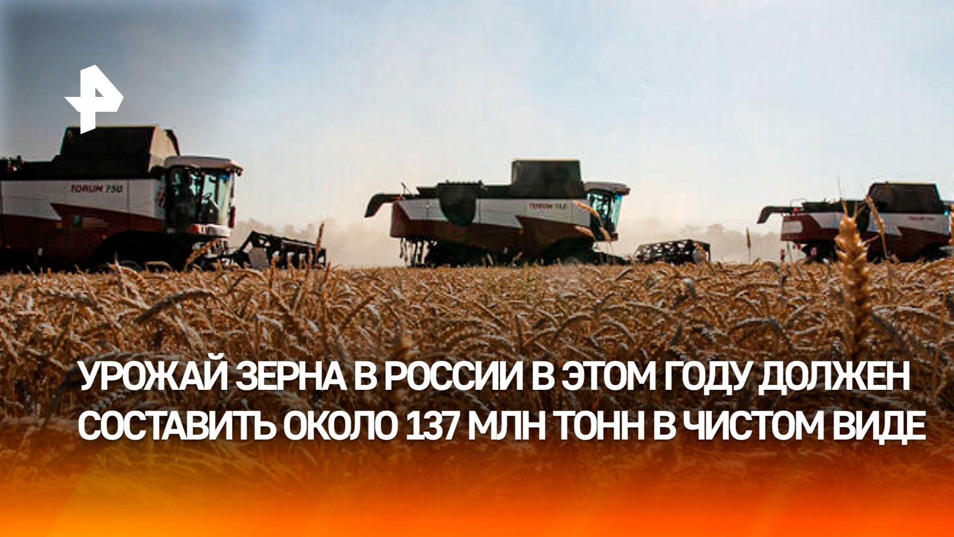 Урожай зерна в 2025 году может стать самым значительным в новейшей истории России