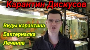 ИМЕЕШЬ ДИСКУСОВ, НО ХОЧЕШЬ ЕЩЕ? ПОСМОТРИ ЭТО ВИДЕО!