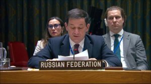Statement by Dmitry Polyanskiy at UNSC Briefing on Sudan