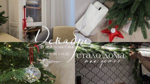 Украшаю квартиру к новому году | Покупки | Декоративная звезда своими руками | Лежанка для Зефирки