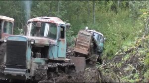 ДТ-75.Утонул в болоте.ПРОБУЮТ ВЫтащить..Получится??