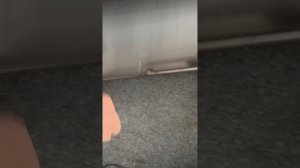 Изумительный сх-4