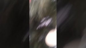 гуляю во дворе и обзор по дому