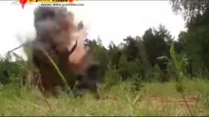 ТНТ жизнь каскадера 5 / 18.01.2014