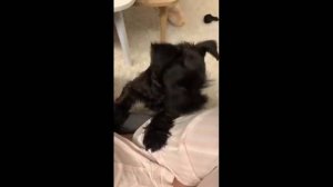 ВИДЕОПРИКОЛЫ \ КРУТЫЕ ПРИКОЛЫ 2025 \ НОВЫЕ ПРИКОЛЫ \ СМЕШНЫЕ ПРИКОЛЫ 2025 ЮМОР