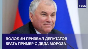 Володин призвал депутатов брать пример с Деда Мороза