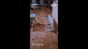 1000043292.mp4 (Собака наблюдает за лайфхаками при строительстве дома А-фрейм)