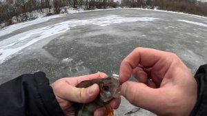 РЫБАЛКА ПО ПЕРВОМУ ЛЬДУ  на безмотылку в декабре 2025