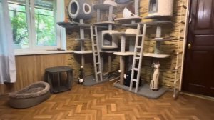 Люди есть такие СМИШНЮЧИЕ, чего я только не начиталась за эти дни ))