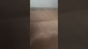 ролик осебе