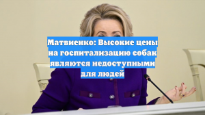 Матвиенко: Высокие цены на госпитализацию собак являются недоступными для людей