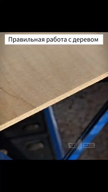 Как работать с деревом смотреть онлайн