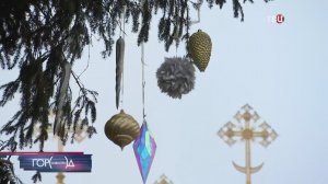 Как украсили главную елку страны на Красной площади