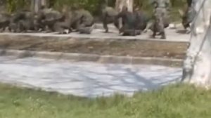 экзамен настоящих мужчин 03.12.2012