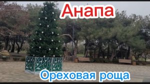 И в Ореховой уже стоит елка.