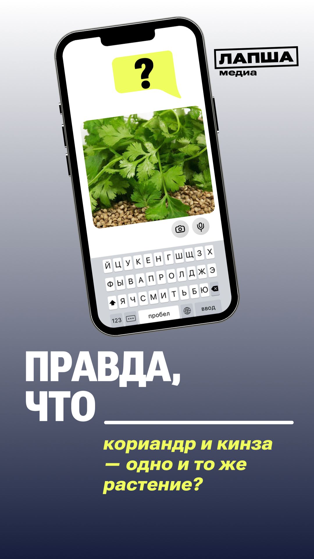 КОРИАНДР И КИНЗА — ОДНО И ТО ЖЕ РАСТЕНИЕ? смотреть онлайн