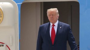 IE: Дональд Трамп минимум восемь раз летал в одном самолете с Эпштейном