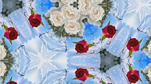 Розы в Зимнюю пору 2 от Киностудии Мудрого Кота Тимофея!