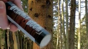 Топ самых больших петард в пнях🧨