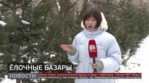 Ёлочные базары. Новости. 23/12/2025. GuberniaTV