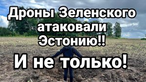 ДРОНЫ ЗЕЛЕНСКОГО АТАКОВАЛИ ЭСТОНИЮ! И НЕ ТОЛЬКО
