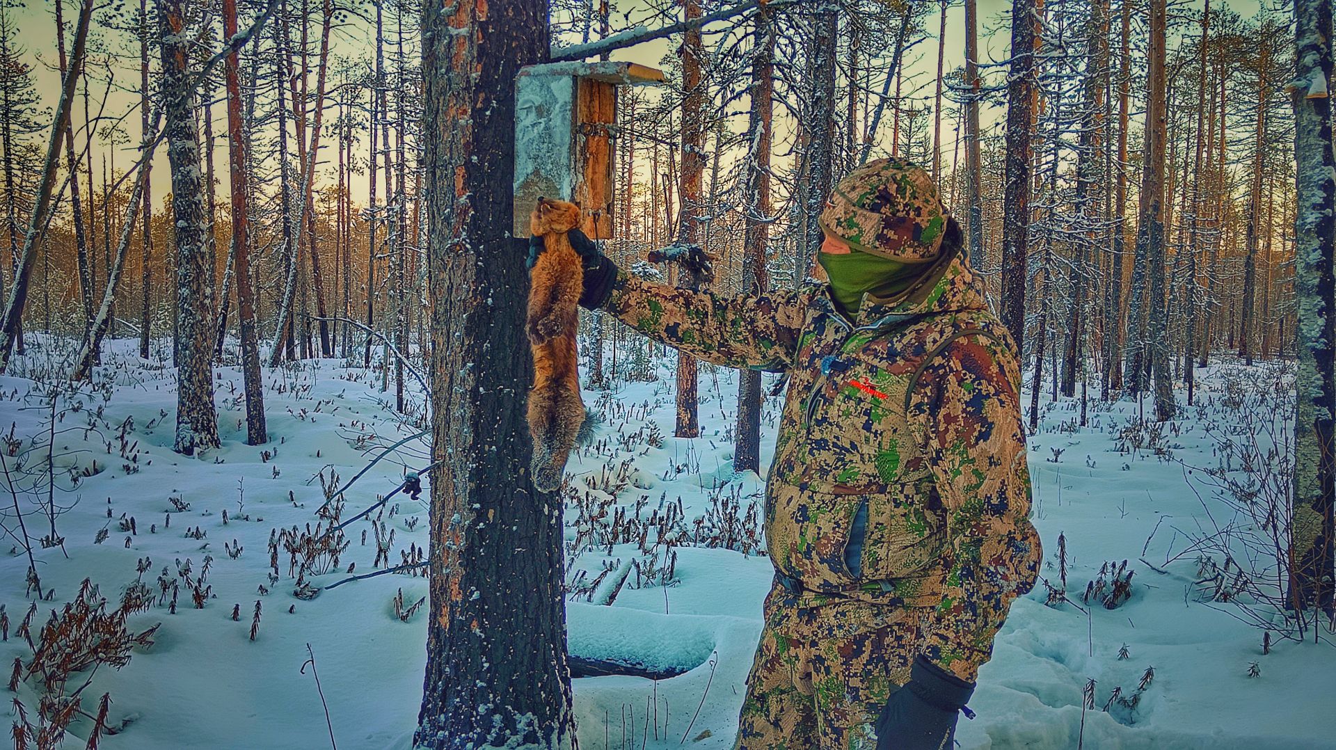 ДОБЫЛ СОБОЛЯ. ЯЩИЧНАЯ  ЛОВУШКА СРАБОТАЛА. АККУМУЛЯТОР ТЕПЛА в ТАЁЖНУЮ ИЗБУ.