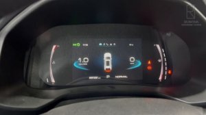 ГБО 6 поколения Рунова электроника готова