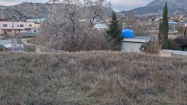 video5355241236431146541