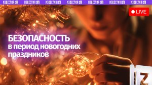 О безопасности в период новогодних праздников — в пресс-центре МИЦ «Известия». Прямая трансляция