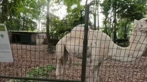 Лайфстайл Абиджан.Лютые выходные.